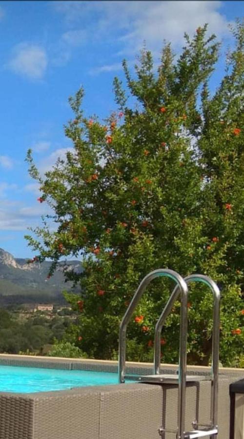 Villaer Mallorca *